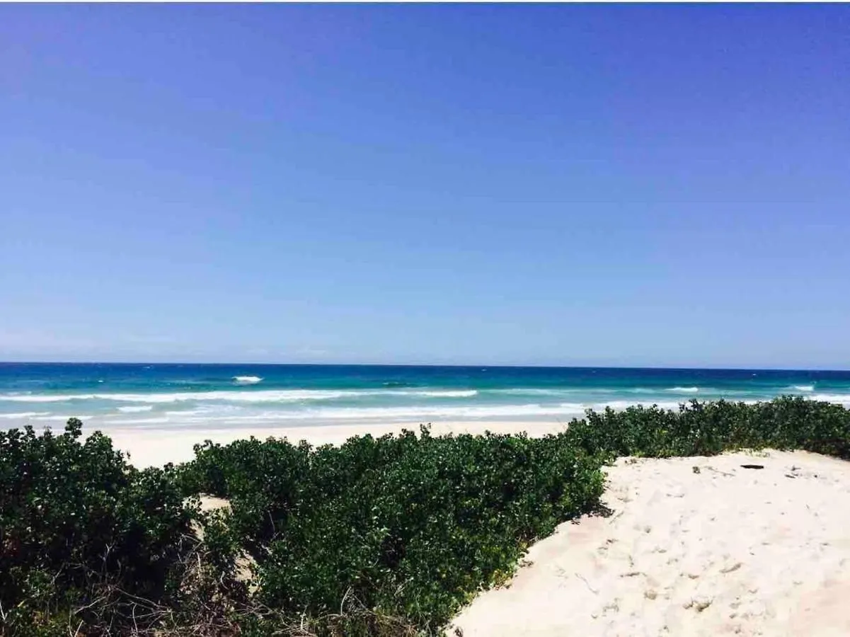 Beachside Serenity Byron Bay